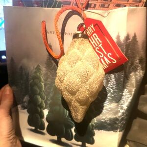 Terrain Anthropologie NWT Glass Frosted Pinecone Holiday Christmas 🎄 Ornament